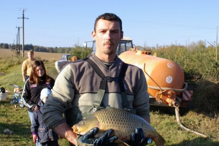 image-68